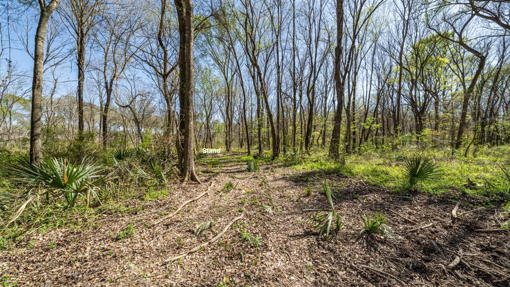 Tbd County Road 462 Property Photo 7