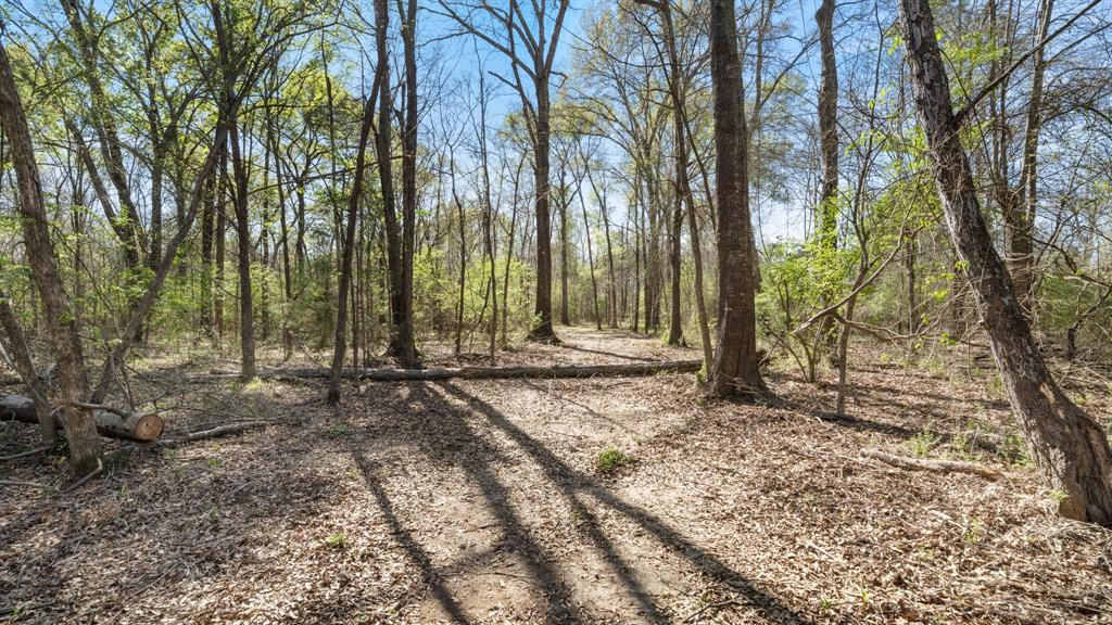 Tbd County Road 462 Property Photo 8