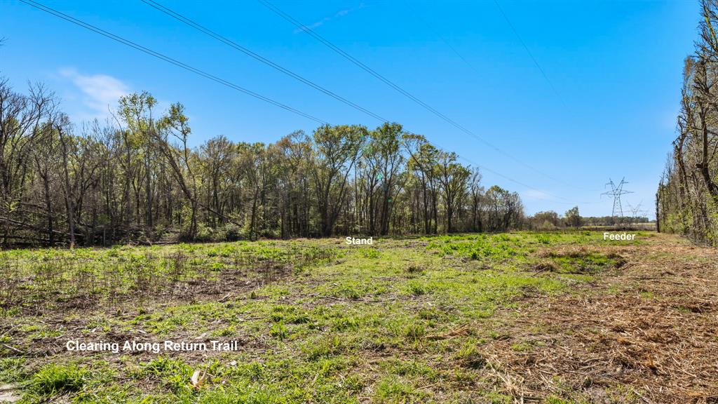 Tbd County Road 462 Property Photo 10