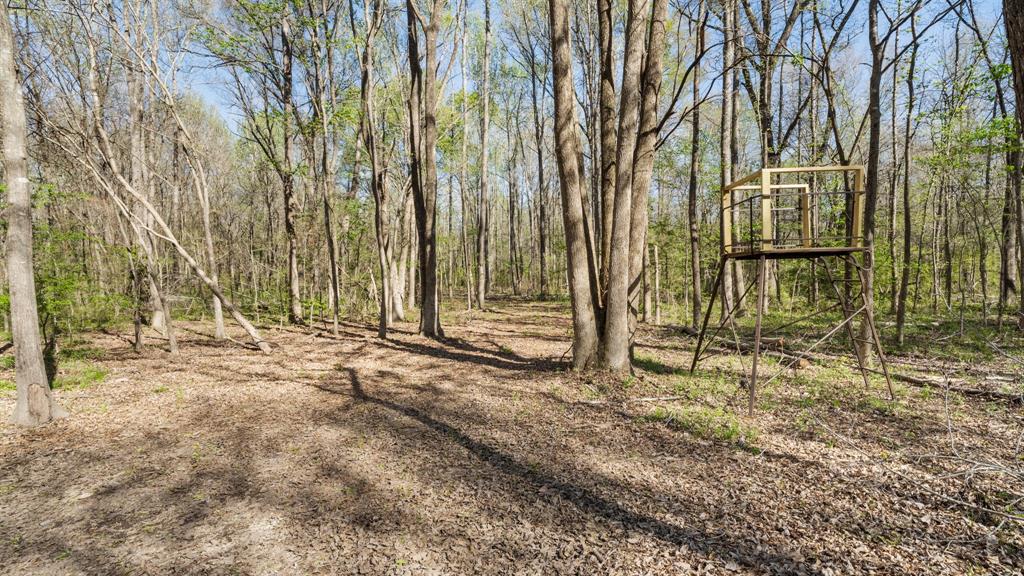 Tbd County Road 462 Property Photo 11
