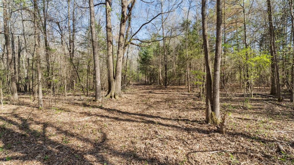 Tbd County Road 462 Property Photo 13