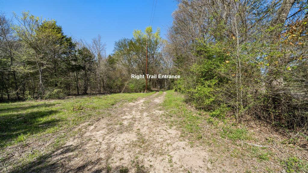 Tbd County Road 462 Property Photo 14