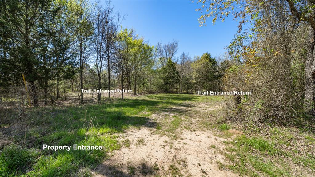 Tbd County Road 462 Property Photo 15