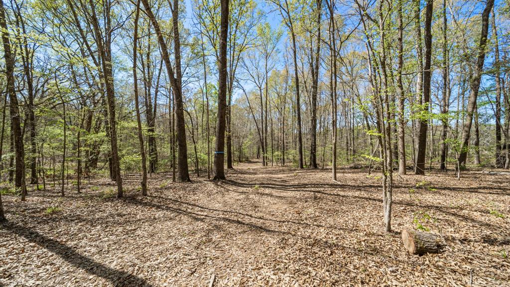 Tbd County Road 462 Property Photo 16