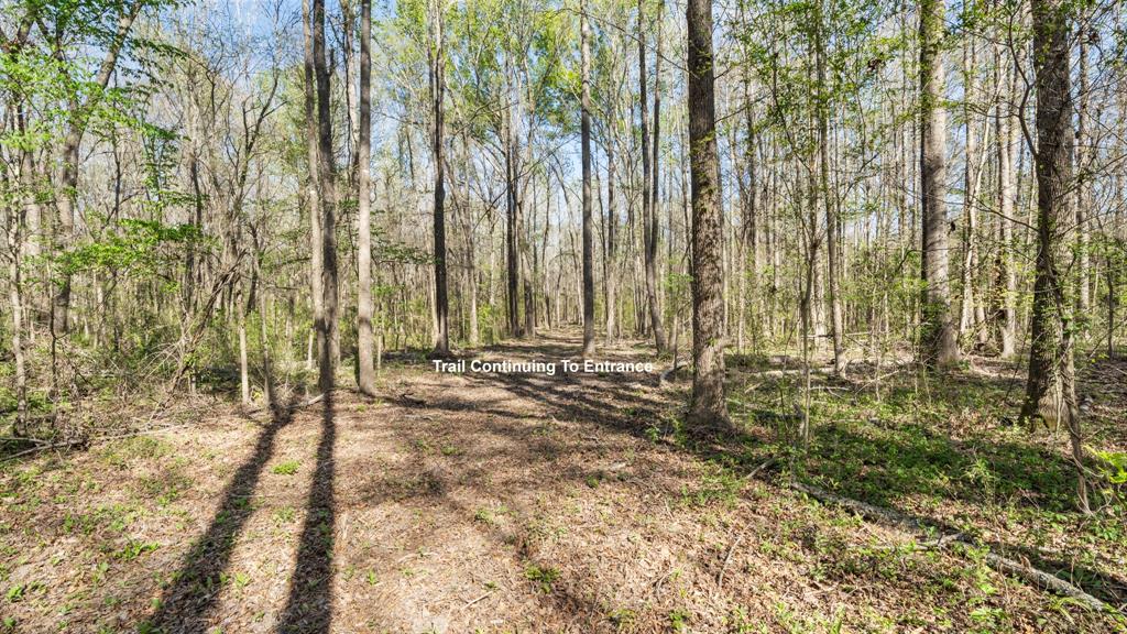 Tbd County Road 462 Property Photo 17