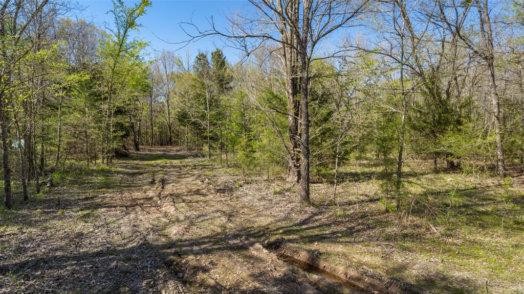 Tbd County Road 462 Property Photo 18