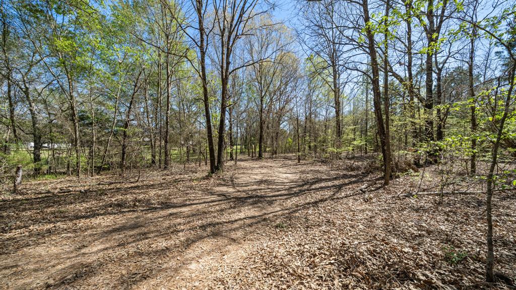 Tbd County Road 462 Property Photo 19