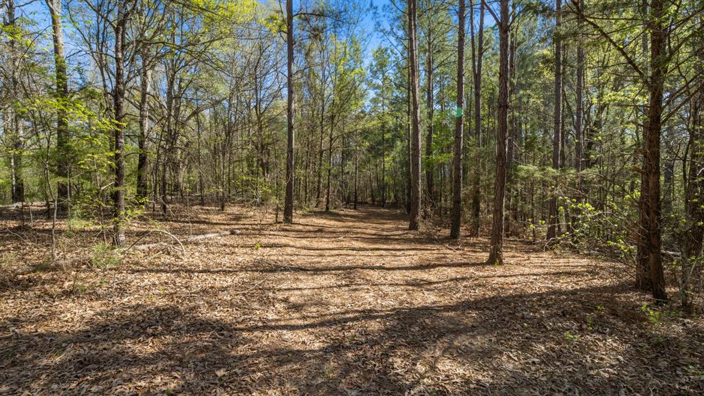 Tbd County Road 462 Property Photo 20