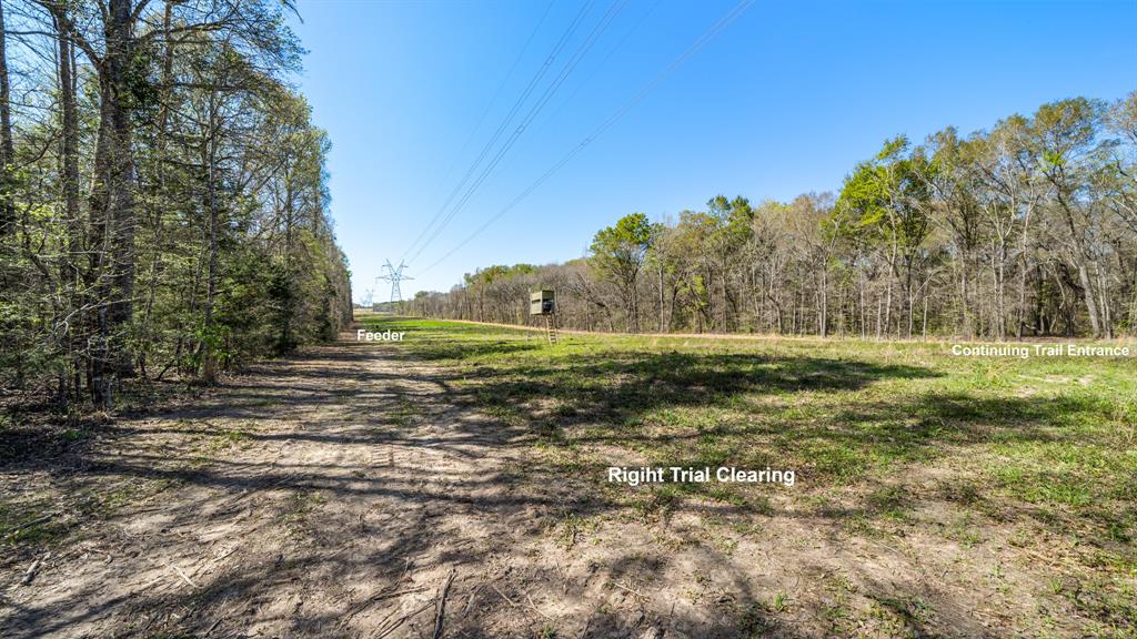 Tbd County Road 462 Property Photo 22