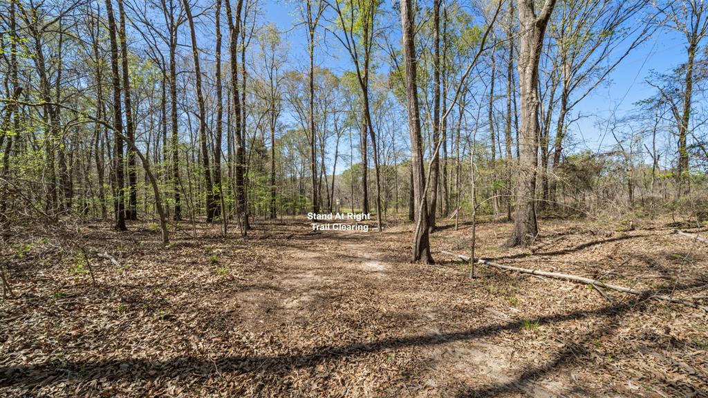 Tbd County Road 462 Property Photo 23