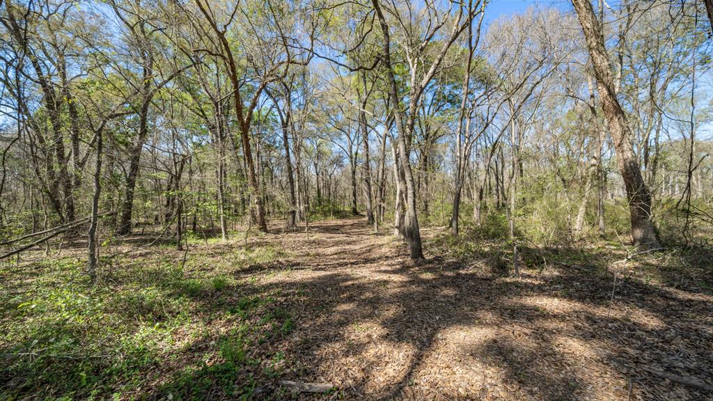 Tbd County Road 462 Property Photo 25