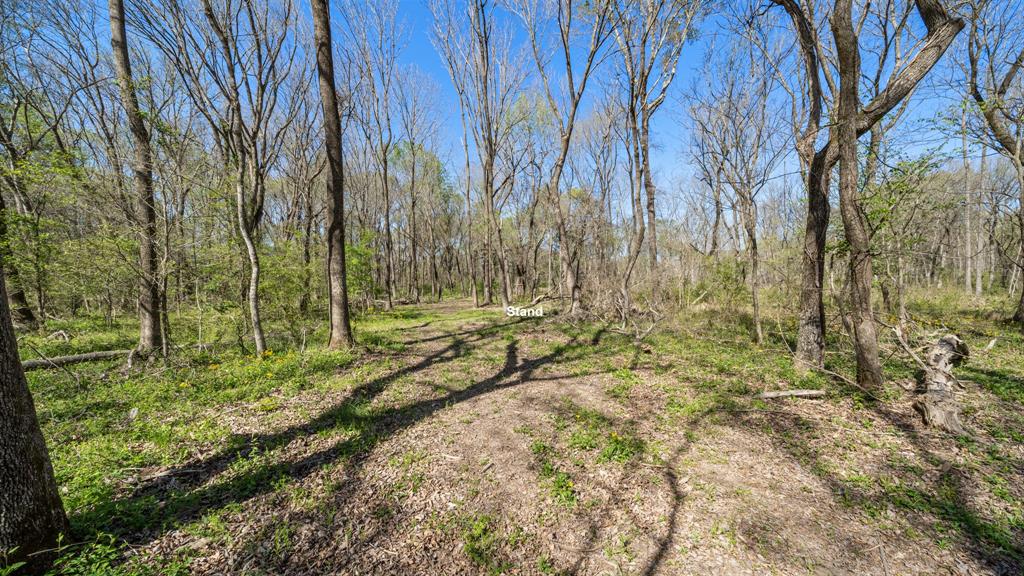 Tbd County Road 462 Property Photo 26