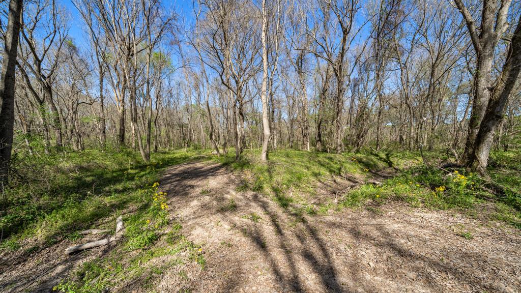 Tbd County Road 462 Property Photo 27
