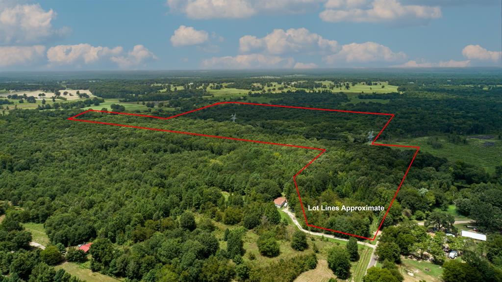 Tbd County Road 462 Property Photo 28