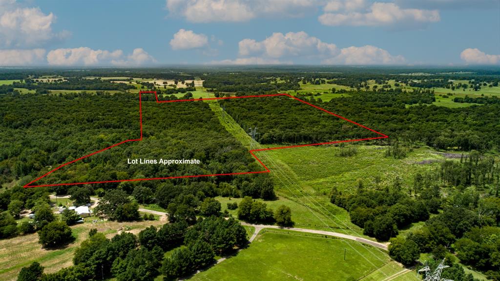 Tbd County Road 462 Property Photo 31