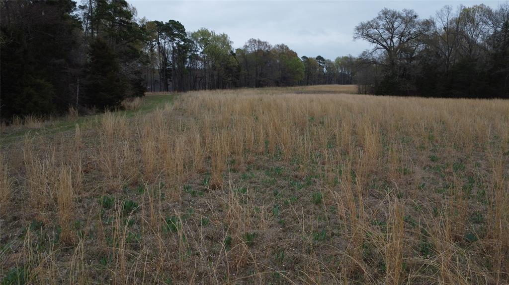 2039 C.r. 2850 Property Photo 5