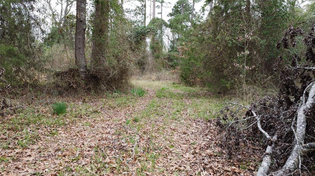 2039 C.r. 2850 Property Photo 17