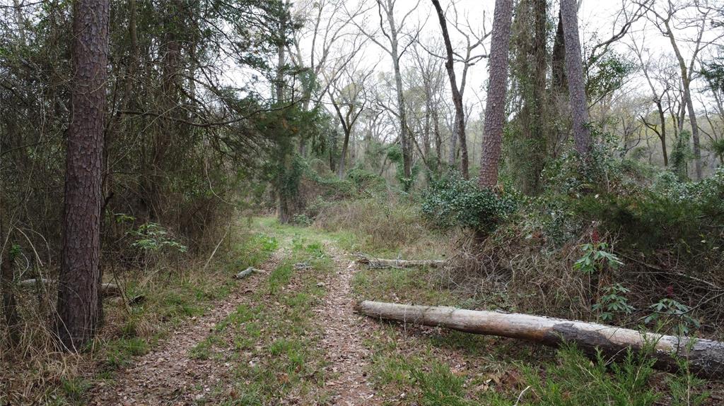 2039 C.r. 2850 Property Photo 18