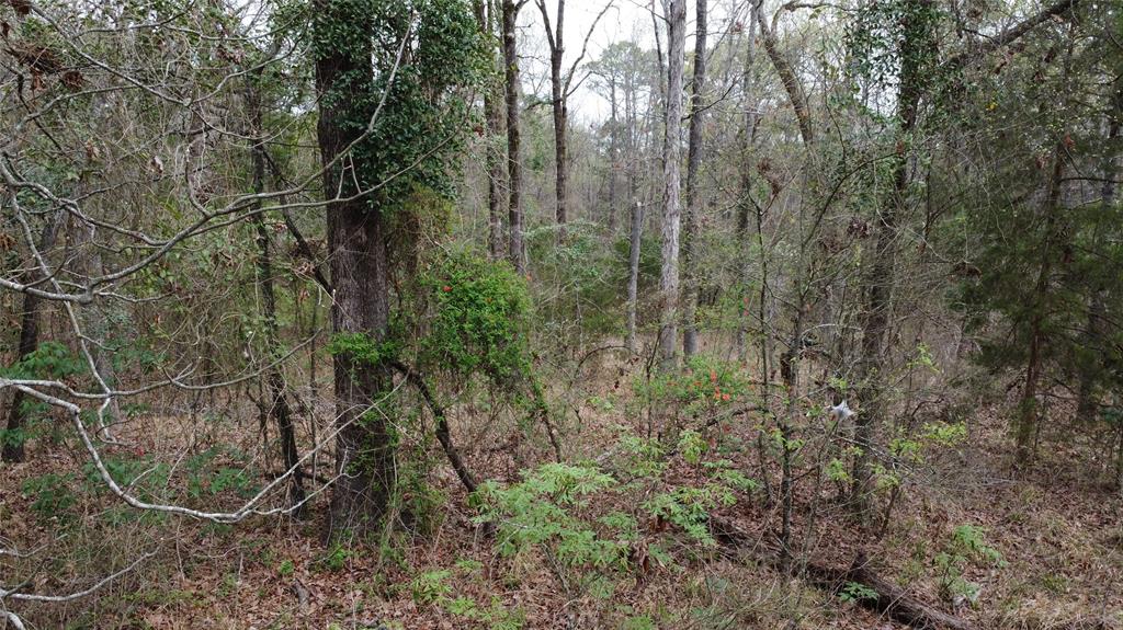 2039 C.r. 2850 Property Photo 26