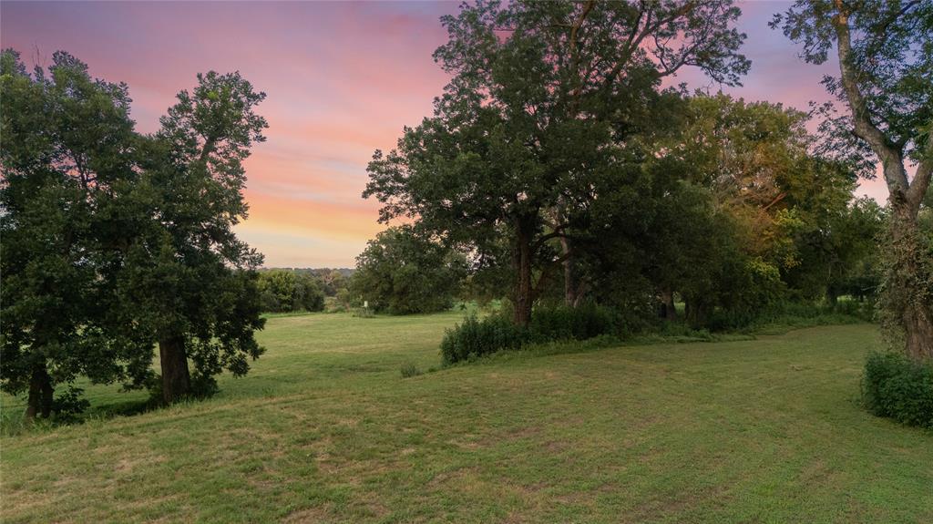 Tbd Horseshoe Bend Road Property Photo 4