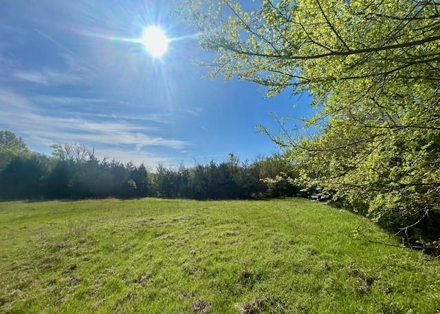 Tbd Fm 1512 Property Photo 3