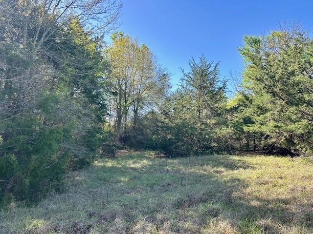 Tbd Fm 1512 Property Photo 6