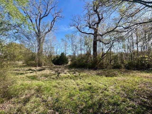 Tbd Fm 1512 Property Photo 8