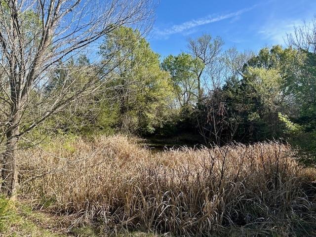 Tbd Fm 1512 Property Photo 10