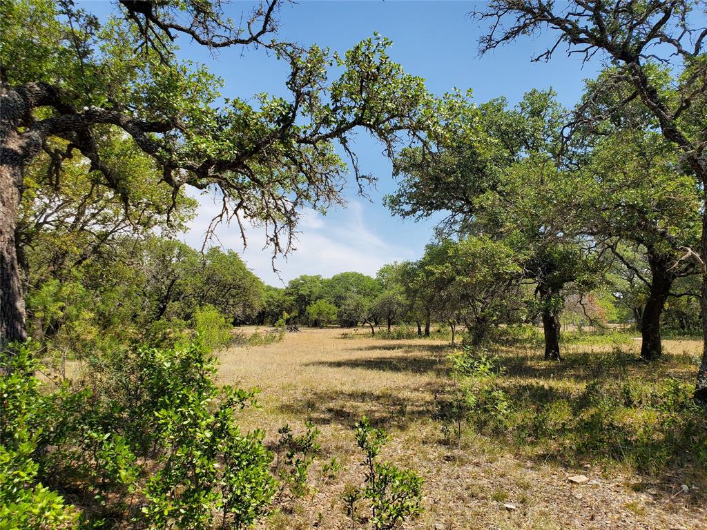 8801 Fm 45 Property Photo 17