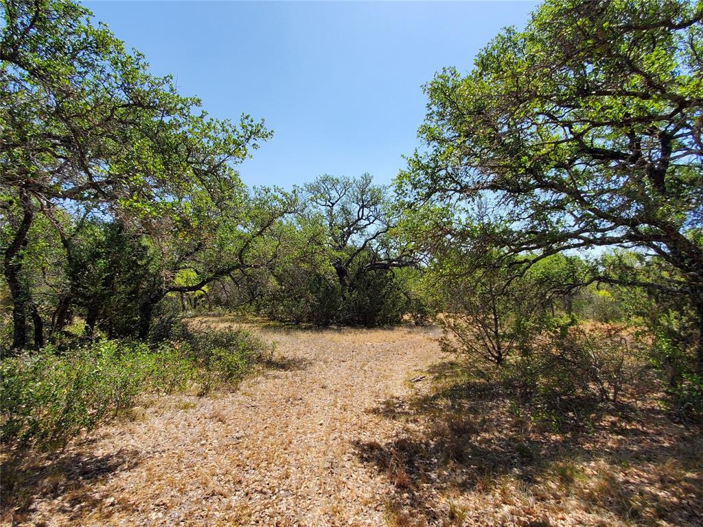 8801 Fm 45 Property Photo 18
