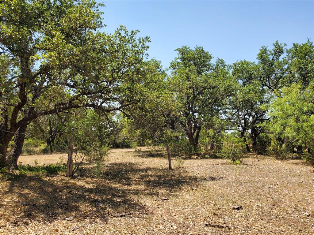 8801 Fm 45 Property Photo 25