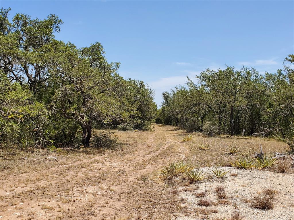 8801 Fm 45 Property Photo 34