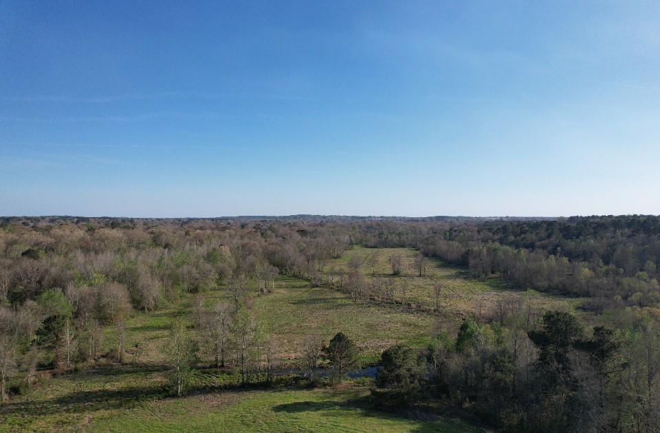 Tbd N County Road 143 Property Photo 4