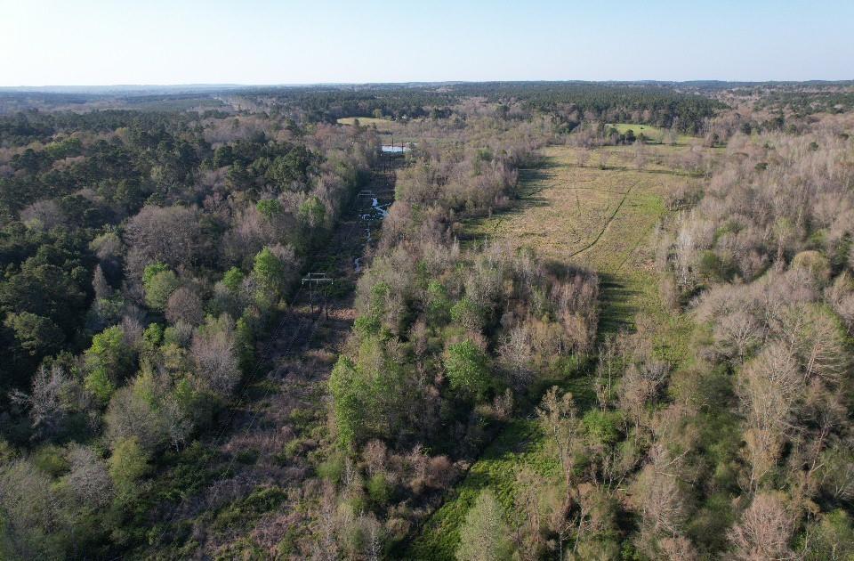 Tbd N County Road 143 Property Photo 10