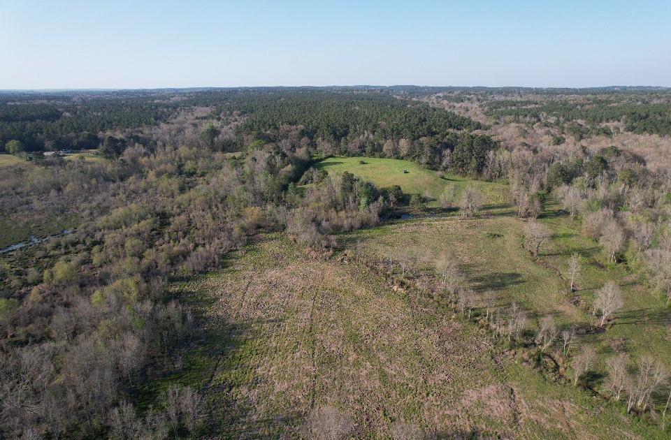 Tbd N County Road 143 Property Photo 11