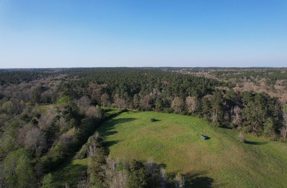 Tbd N County Road 143 Property Photo 12