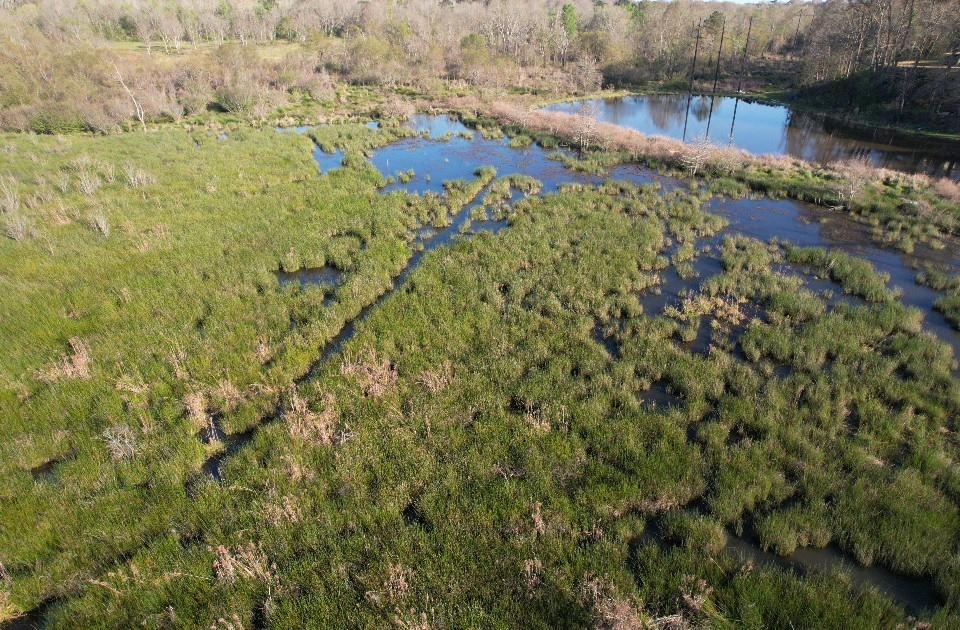Tbd N County Road 143 Property Photo 15