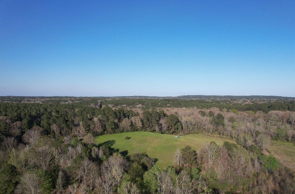 Tbd N County Road 143 Property Photo 16