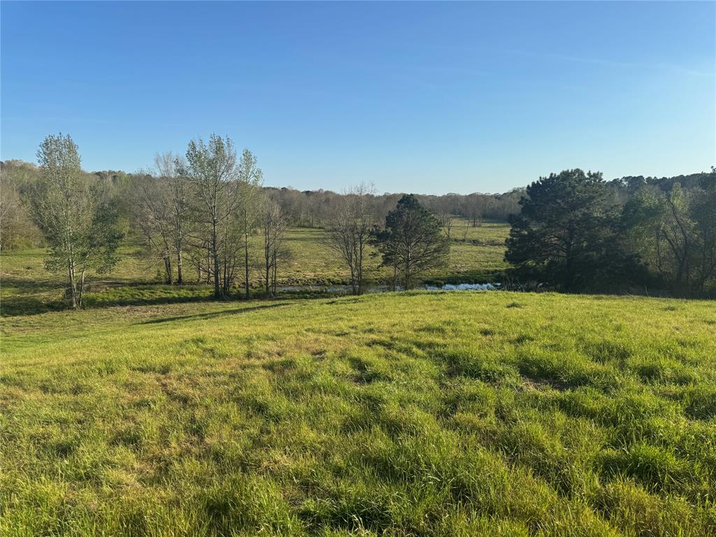 Tbd N County Road 143 Property Photo 17