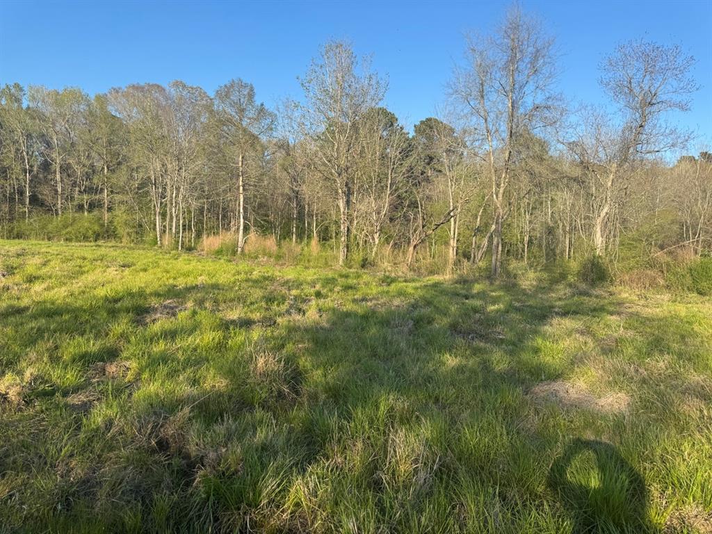 Tbd N County Road 143 Property Photo 18