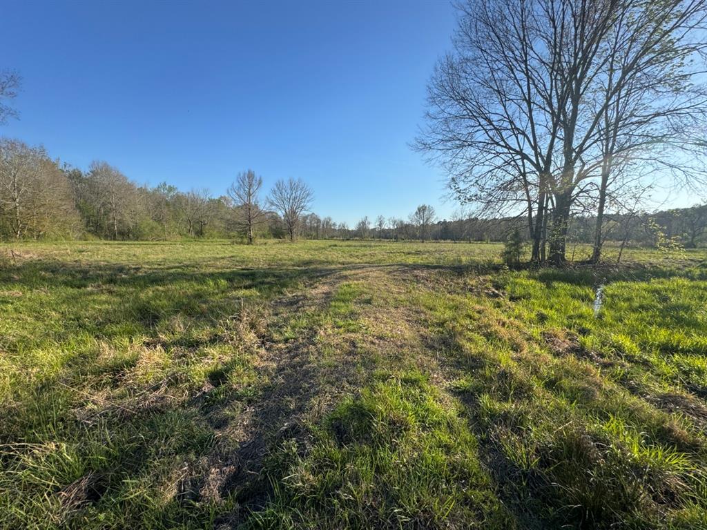 Tbd N County Road 143 Property Photo 19