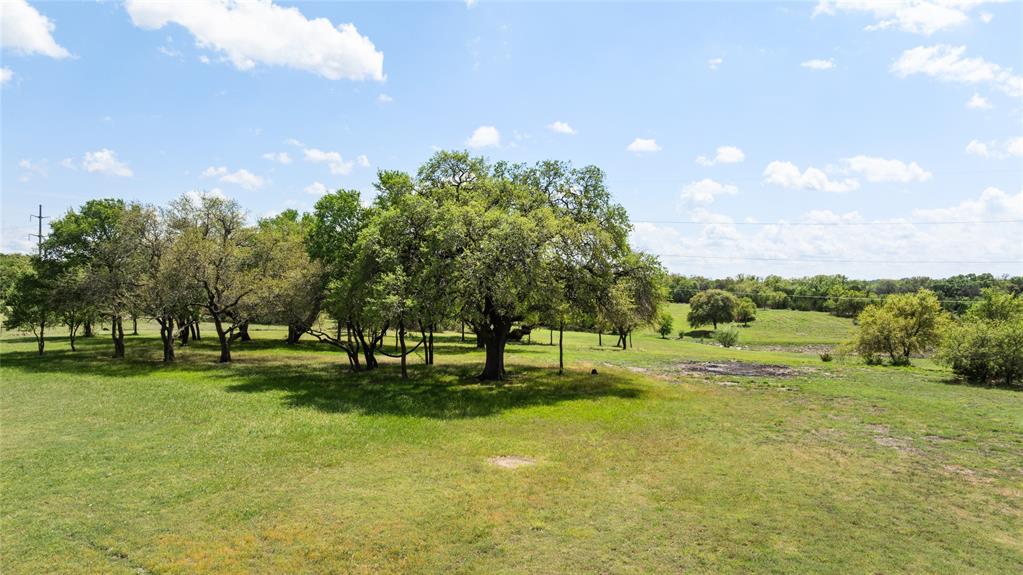 1311 Williamson Road Property Photo 5