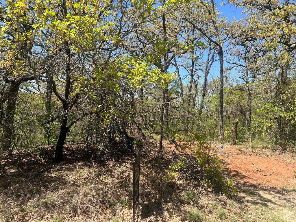 1000 Crazy Horse Trail Property Photo 8