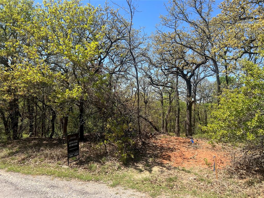 1000 Crazy Horse Trail Property Photo 10