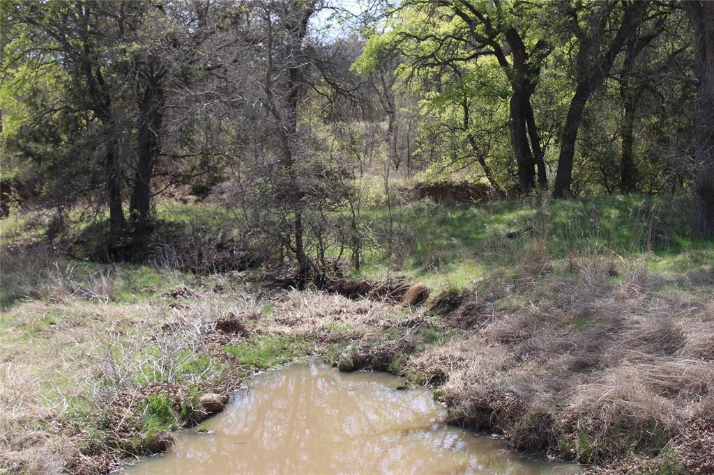 21 Ac Erwin Property Photo 1