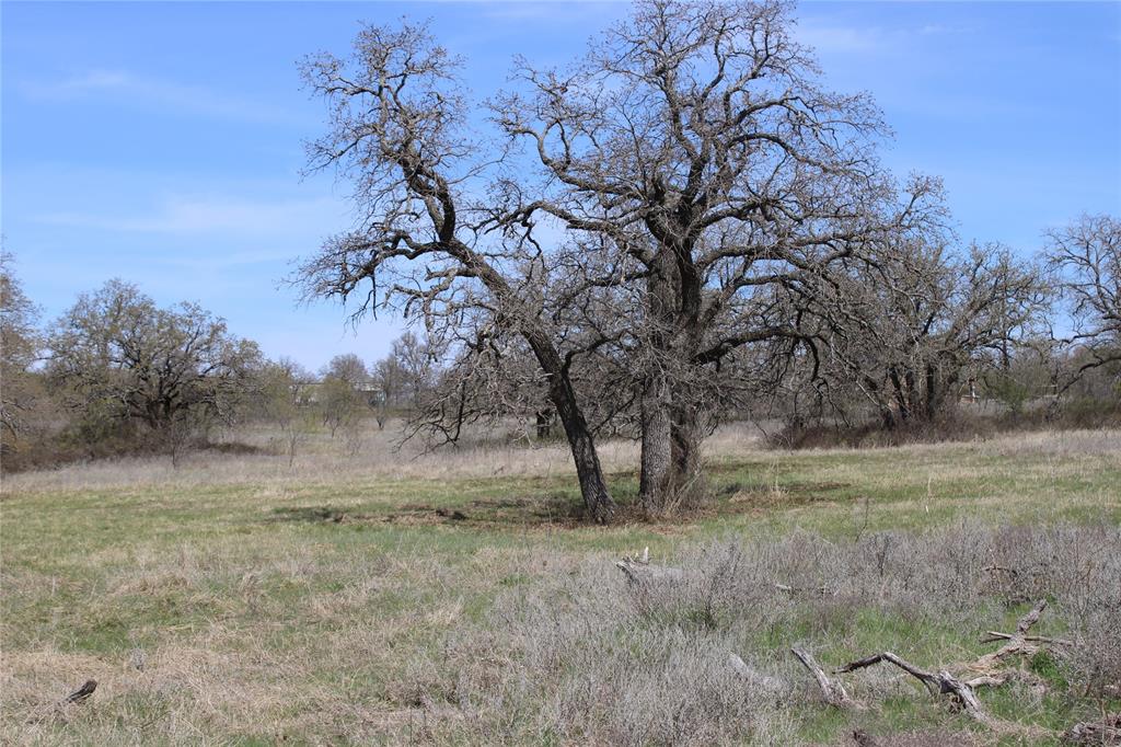 21 Ac Erwin Property Photo 3