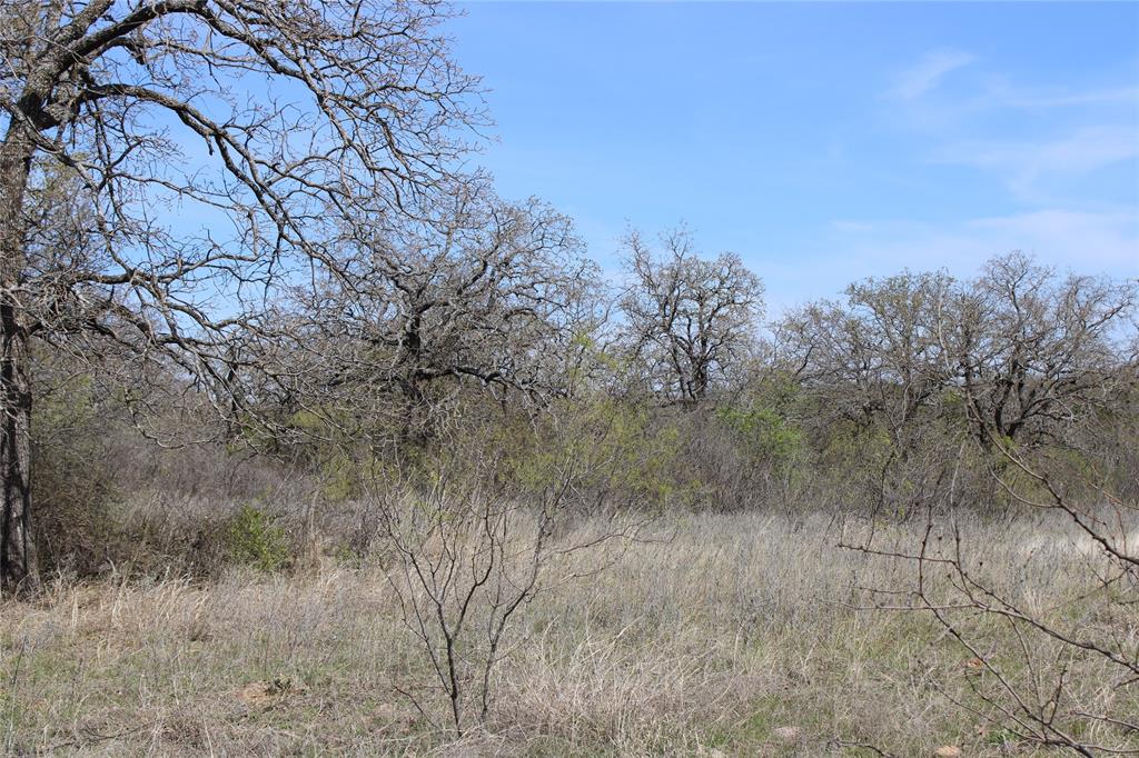 21 Ac Erwin Property Photo 6