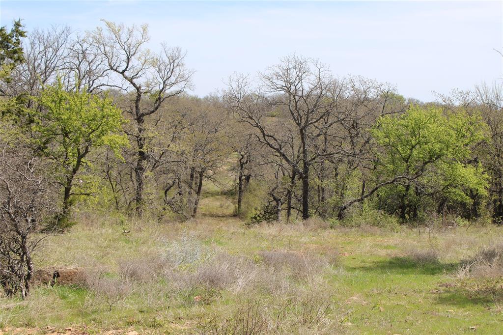 21 Ac Erwin Property Photo 7