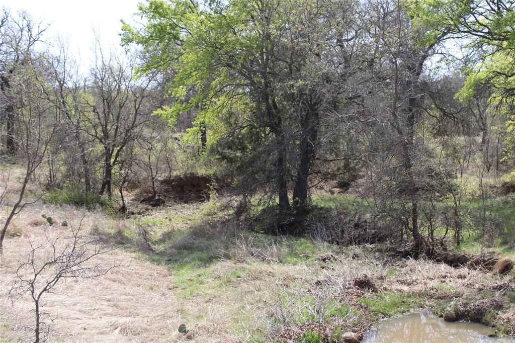 21 Ac Erwin Property Photo 10