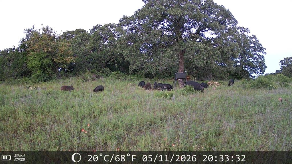 21 Ac Erwin Property Photo 16